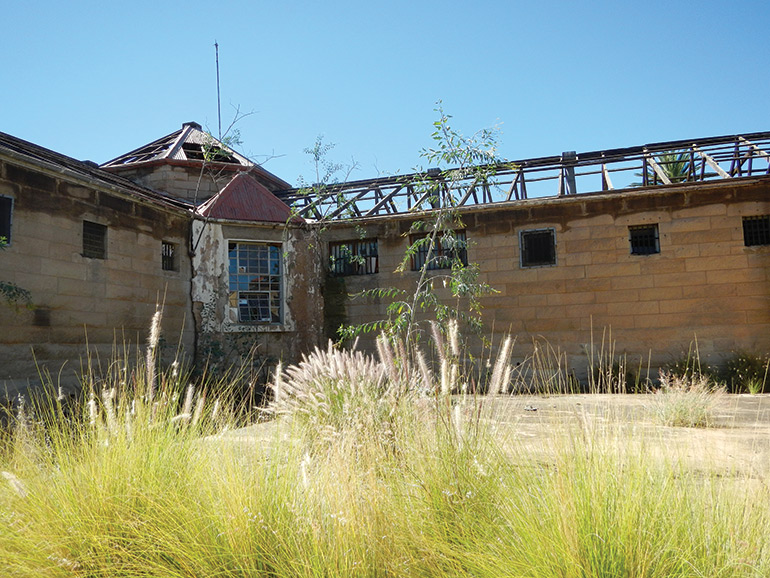 Ramkraal-tronk in Maart 2014