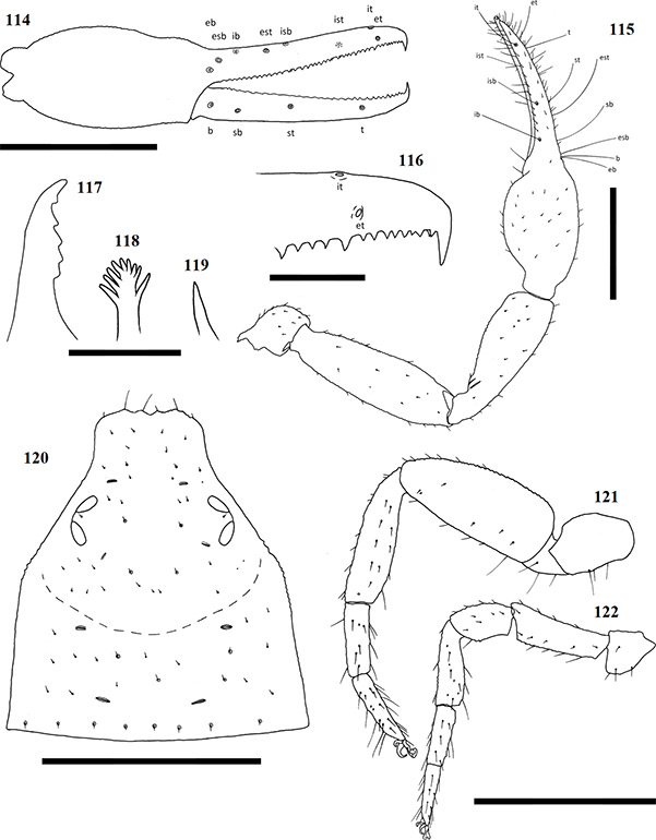Figs-114-122-(A_purcelli-Diagrams)