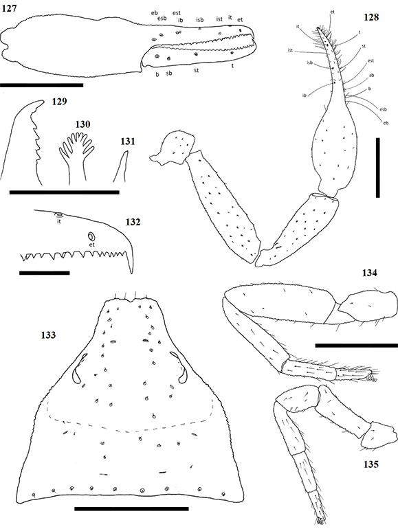 Figs-127-135-(A_robustus-Diagrams)