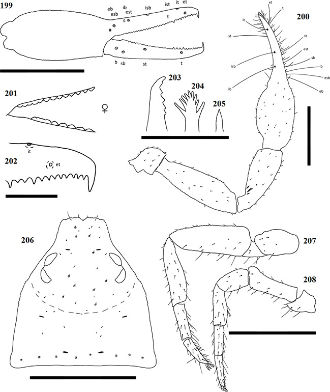 Figs-199-208-(G_liomendontus-Diagrams)