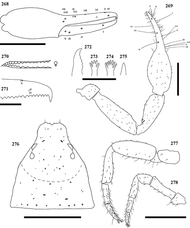 Figs-268-278-(G_variaspinosus-Diagrams)
