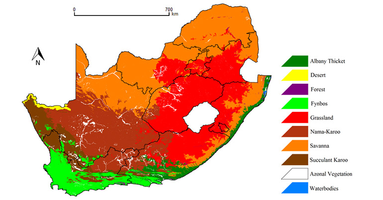 Figs-279-(South-African-Biomes)