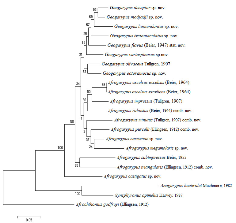 Figs-301-(COI28S-Tree)