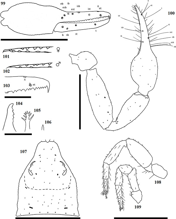 Figs-99-109-(A_minutus-Diagrams)