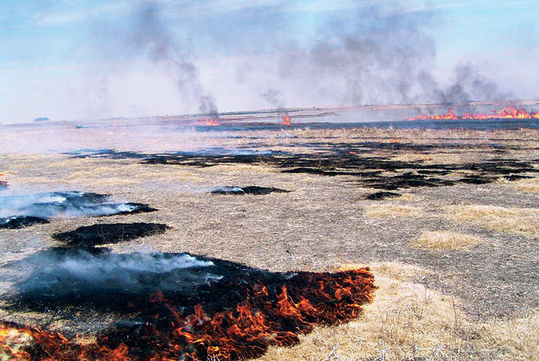 brand